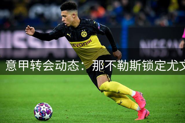 意甲转会动态：那不勒斯锁定尤文铁闸 加蒂交易方案浮出水面