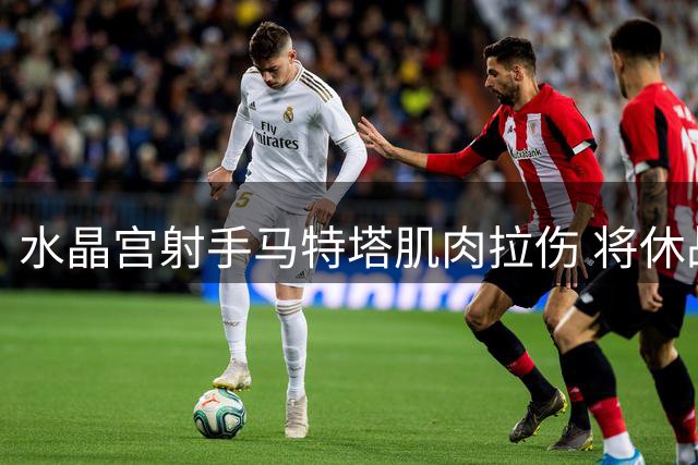 水晶宫射手马特塔肌肉拉伤 将休战一个月