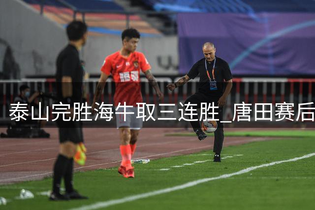泰山完胜海牛取三连胜 唐田赛后盛赞球迷与刘洋表现