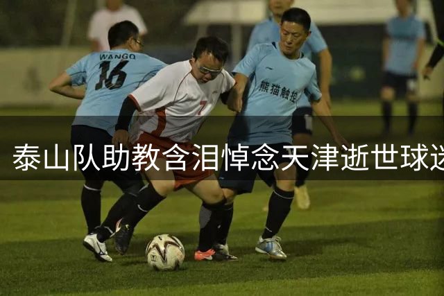泰山队助教含泪悼念天津逝世球迷 呼吁高温观赛注意安全